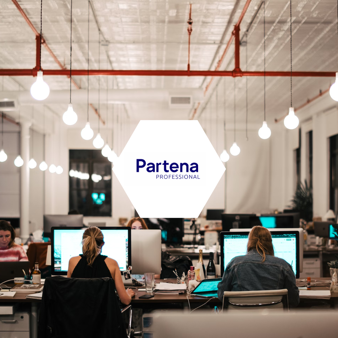 Biztory - Case Study - Partena Professional