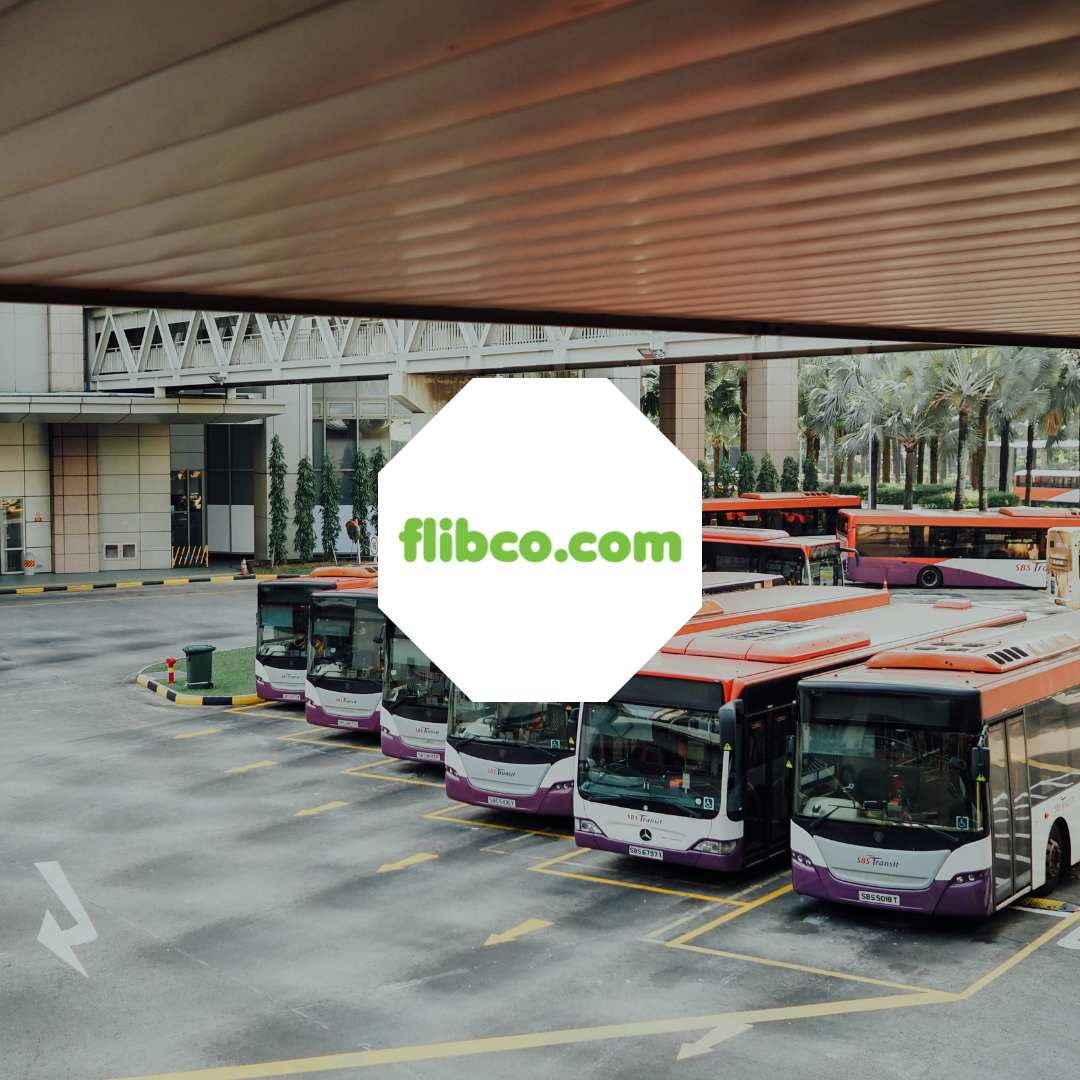 Biztory - Case Study - flibco