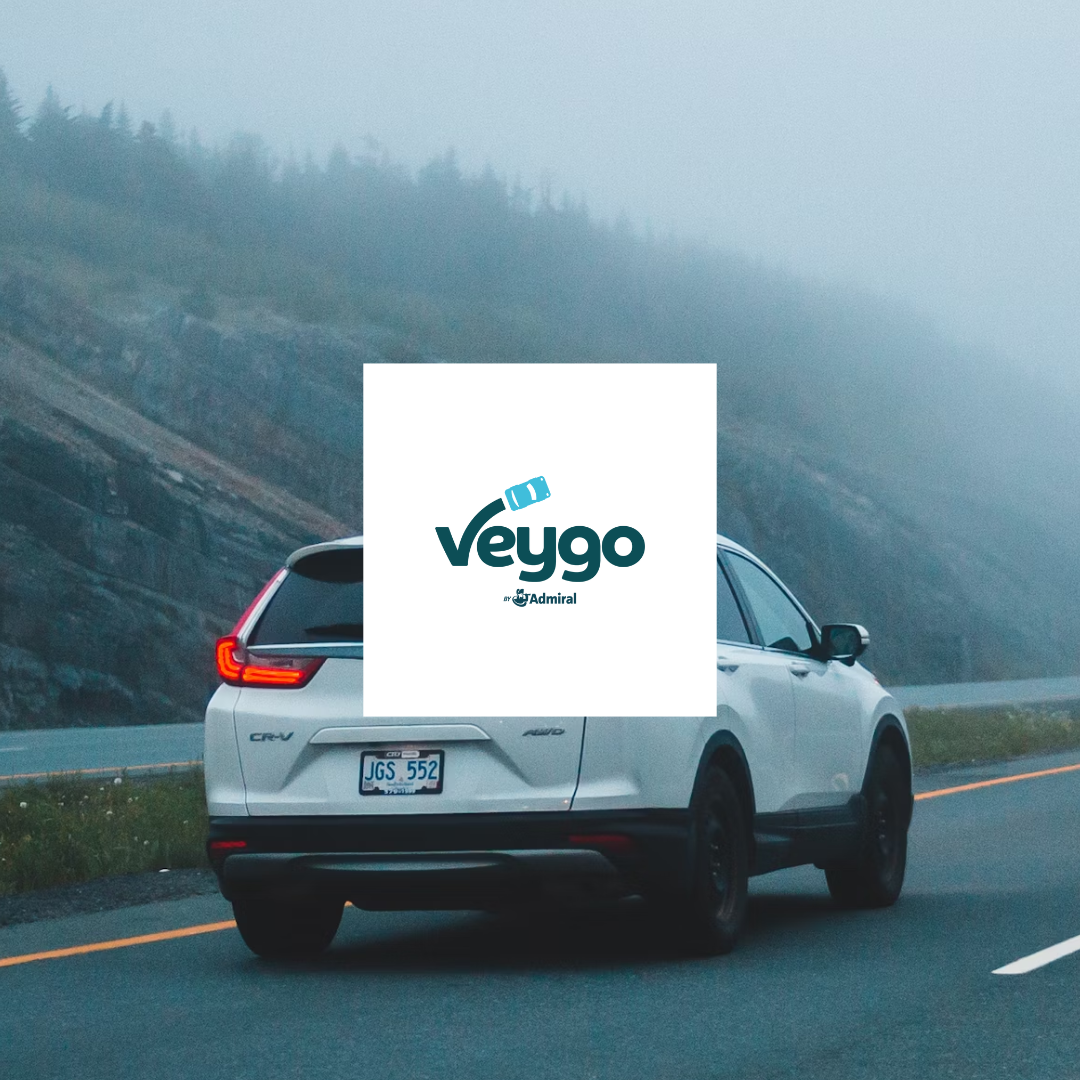 Biztory - Case Study - Veygo