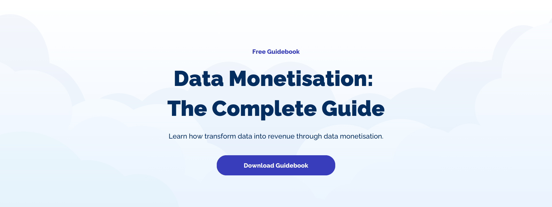 Data Monetisation Guidebook