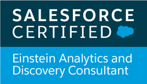 Salesforce Certified Consultant