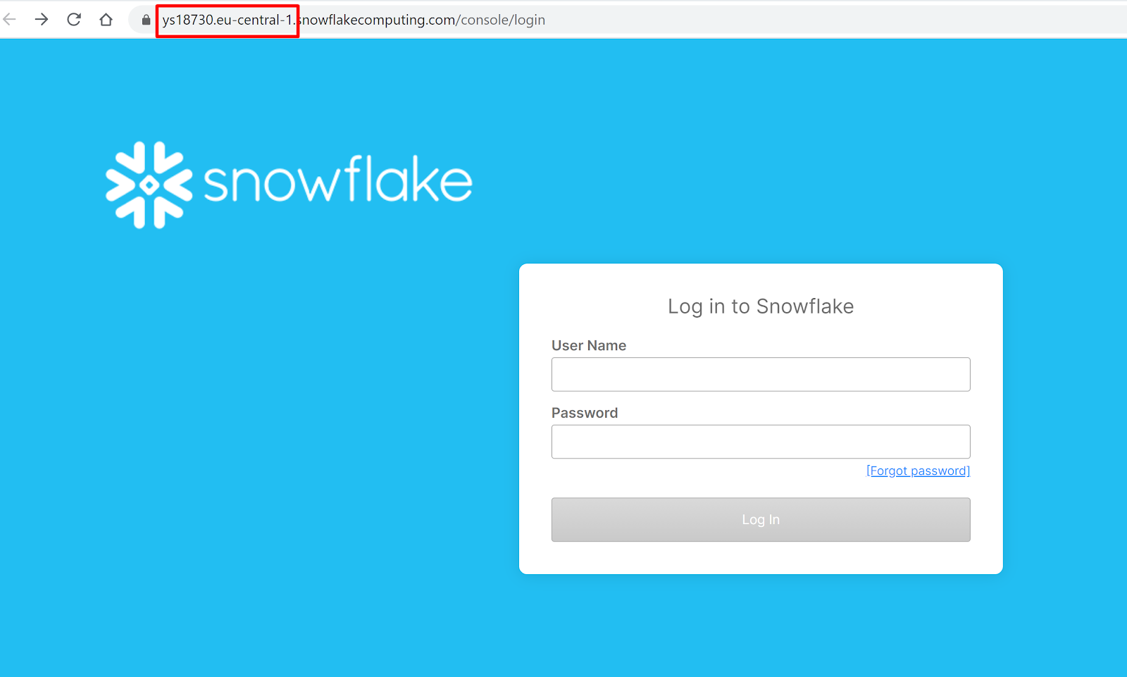 Snowflake URL