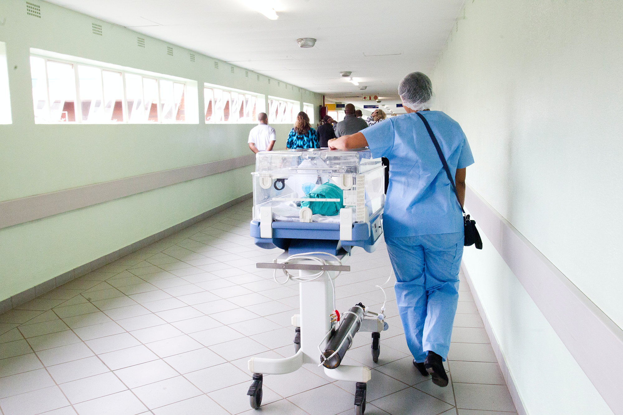 health care biztory